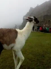 马丘比丘